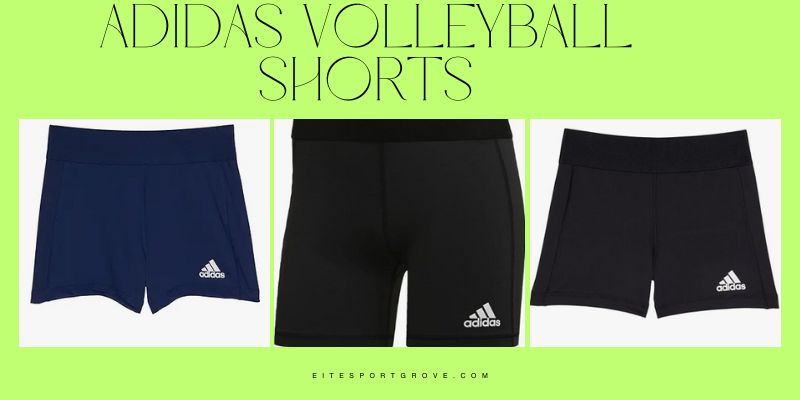 adidas volleyball shorts