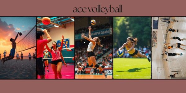 Best Ace Volleyball Training Tips , Services in 2025